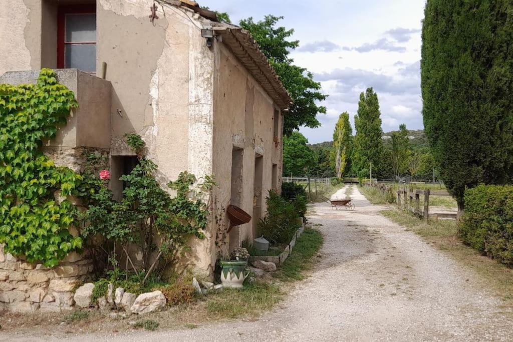 Chambre D'Hotes Manon - Domaine Les Peupliers - Lagnes Exterior photo